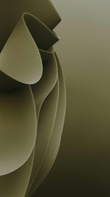 Elegant Abstract Mobile Wallpaper with Flowing Curved Shapes