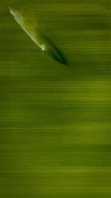 Abstract Green Motion Blur Wallpaper