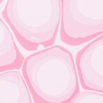 Abstract Pink Cell-Like Shapes with Light Centers