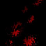 Abstract Red Shapes On A Black Background