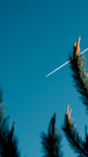 Clear Blue Skies with Contrail