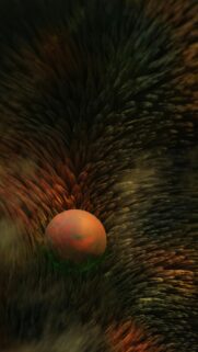 Cozy Nature Scene: Egg on Fur