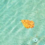 Orange Serenity