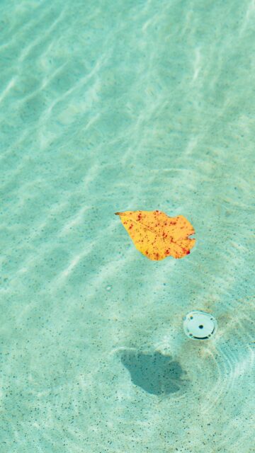 Orange Serenity