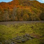 Autumn Hill View with Grassy Field Wallpaper