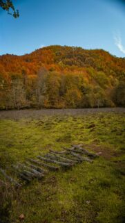 Autumn Hill View with Grassy Field Wallpaper