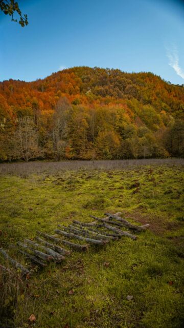 Autumn Hill View with Grassy Field Wallpaper