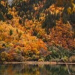 Autumn Forest Reflects on a Clear Lake
