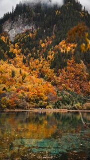 Autumn Forest Reflects on a Clear Lake