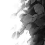 moody-leaves-mobile-wallpaper