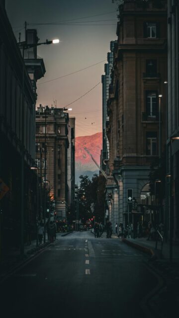 Urban Oasis at Dusk