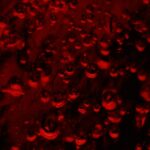 Red Bubbles Mobile Wallpaper