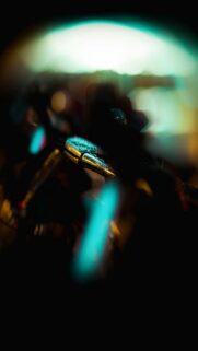 Metallic Marvel with Vibrant Bokeh