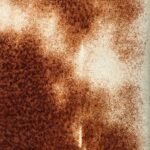 Rusty Metal Texture Close-up