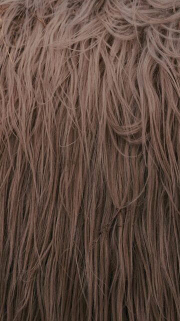 Shaggy Brown Faux Fur Texture