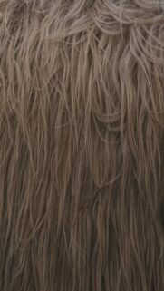 Brown Fur Texture Wallpaper