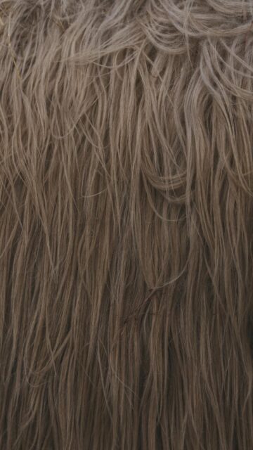 Brown Fur Texture Wallpaper