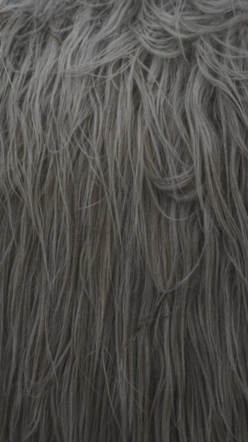 Shaggy Gray Faux Fur Texture Wallpaper