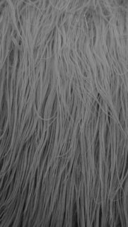 Gray Fur Texture Wallpaper