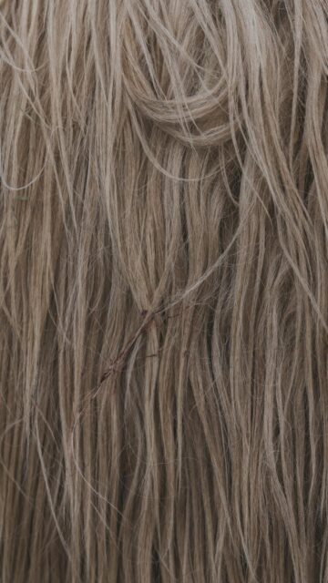 Cozy Light Brown Animal Fur Wallpaper
