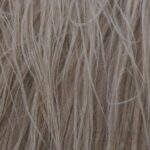 Shaggy Light Colored Animal Fur Close Up