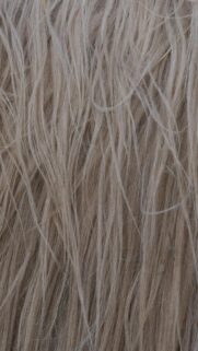 Shaggy Light Colored Animal Fur Close Up