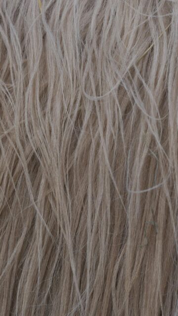 Shaggy Light Colored Animal Fur Close Up