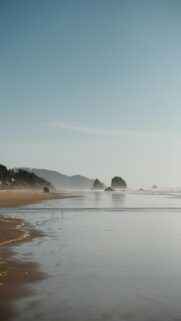Coastal Landscape with Ocean Beach and Rock Formations