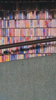 Vibrant Wall Art
