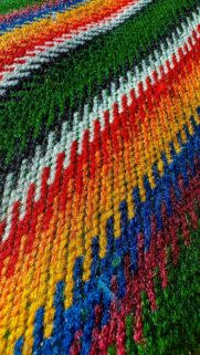 colorful-metis-sash-mobile-wallpaper