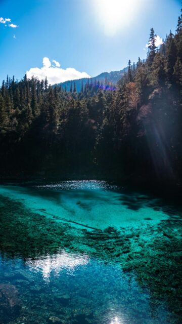 Turquoise Lake Wallpaper: Crystal Clear Water Meets Lush Forest