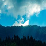 Dramatic Skies Over Dark Forest