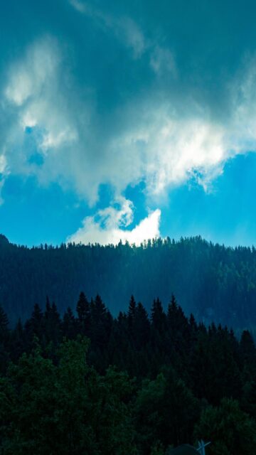 Dramatic Skies Over Dark Forest