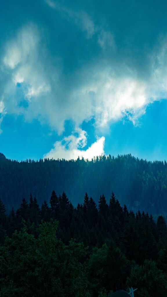 Dramatic Skies Over Dark Forest