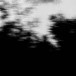Moody Landscapes - Dark Clouds Over Silhouetted Trees