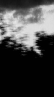 Moody Landscapes – Dark Clouds Over Silhouetted Trees
