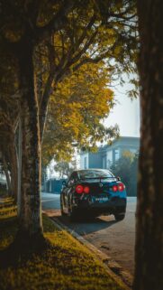 Dark Sports Car on Tree-Lined Street