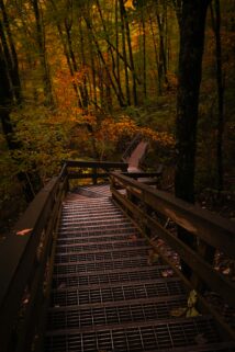 Discover A Tranquil Walk Along A Stairway Surrounded By Vibrant Autumn Foliage – Free 4K HD Download