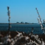 coastal-serenity-blue-sky-houses-water