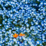 Blissful Blue Landscape with Orange Accents