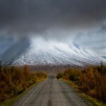 Flock of Birds Fly Over a Snowy Mountain Road