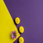 Vibrant Floral Background Wallpaper