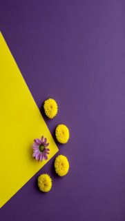 Vibrant Floral Background Wallpaper