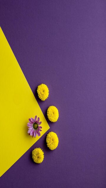 Vibrant Floral Background Wallpaper