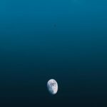 Stunning Twilight Moon with Bird Silhouette