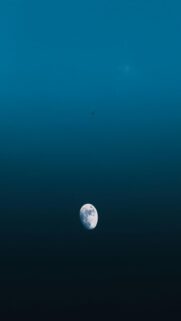 Stunning Twilight Moon with Bird Silhouette