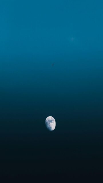 Stunning Twilight Moon with Bird Silhouette