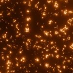 Glowing Lava Wallpaper