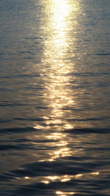 golden-sun-reflection-on-rippling-water-surface-mobile-wallpaper