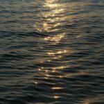 Golden Sun's Reflection on Rippling Dark Water